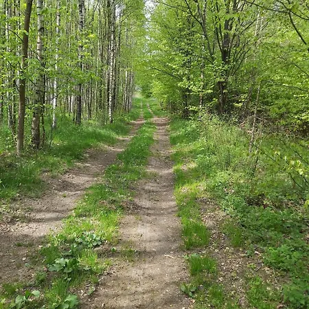 Villa Dom Na Koncu Swiata W Sercu Natury Ostrowite (Chojnice)