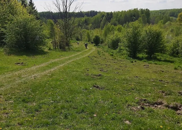 Dom Na Koncu Swiata W Sercu Natury